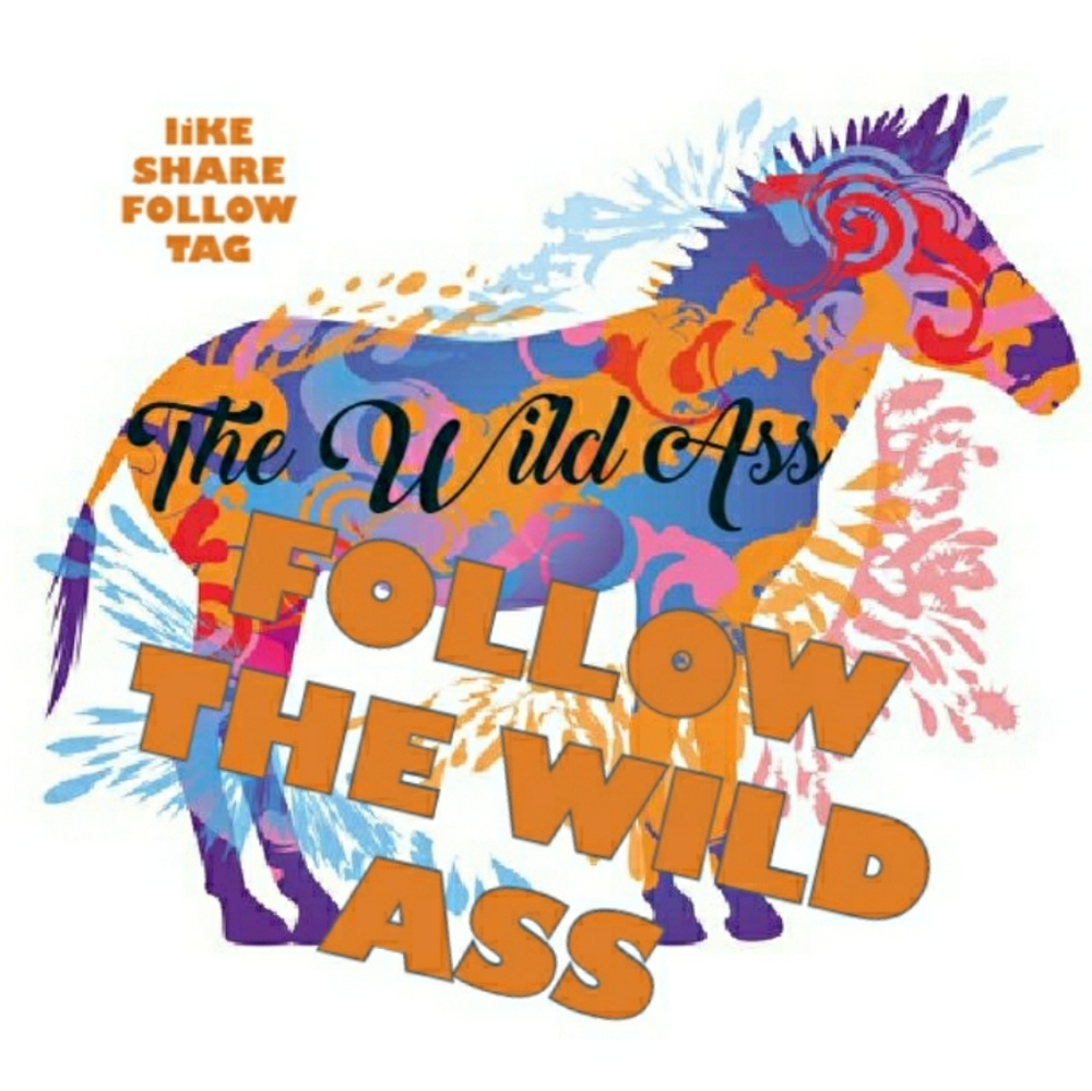 Follow The Wild Ass! - Picture 1 of 1